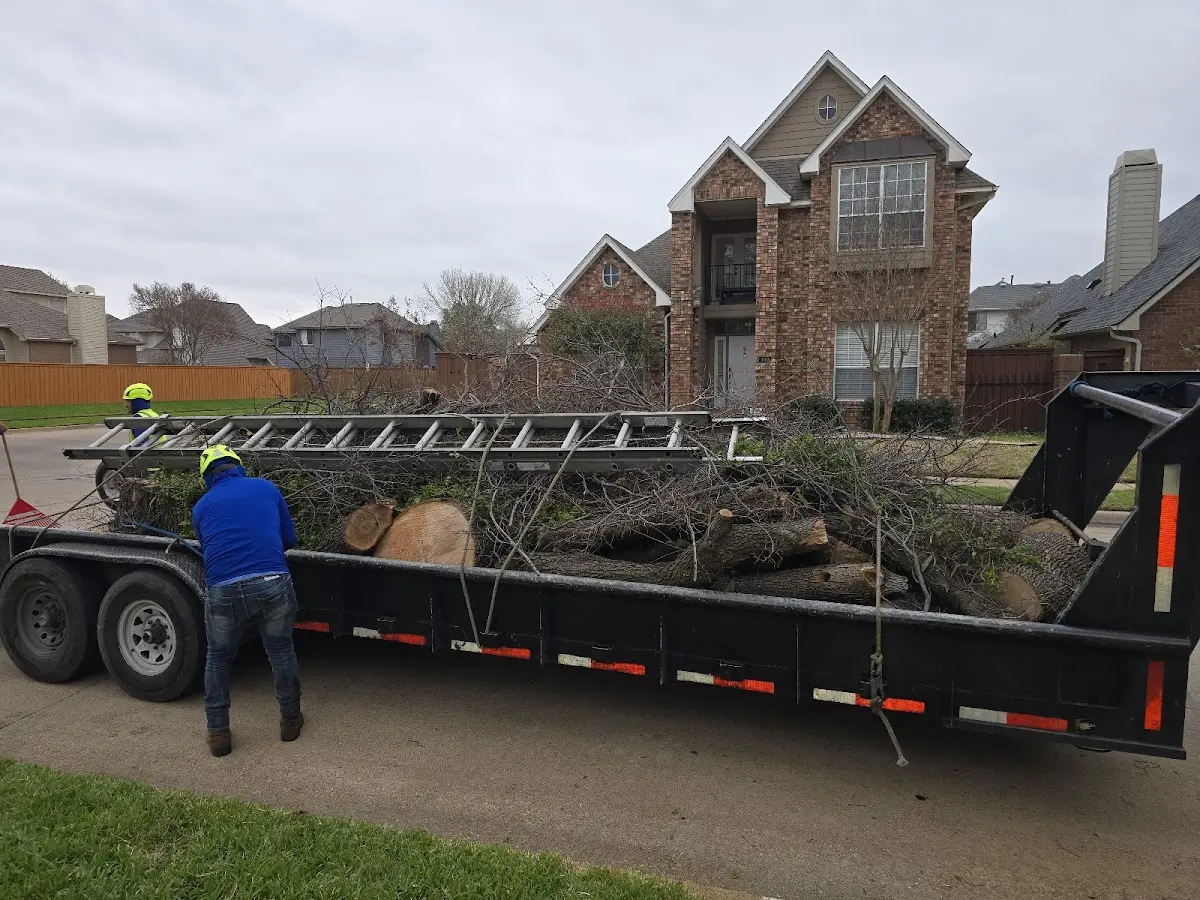 Expert Tree Fertilization with proper safety equipment in Chappell Hill